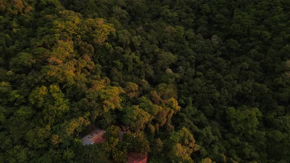 Cinematic reveal of a majestic jungle during sunset near the pacific coast in central America. Few s