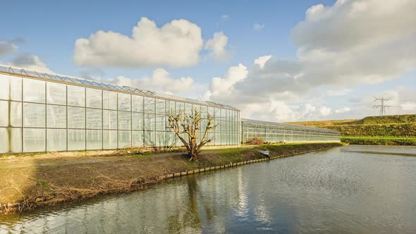 Greenhouse by water
