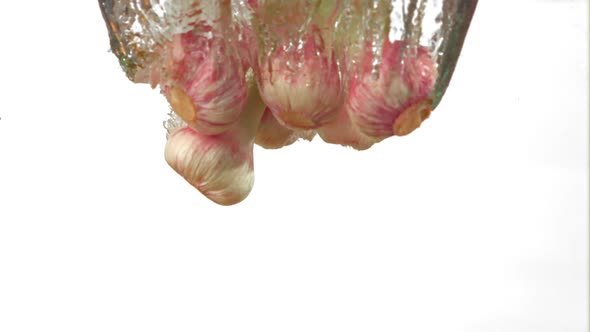 Super Slow Motion of the Head of Garlic Fall Under the Water on a White Background