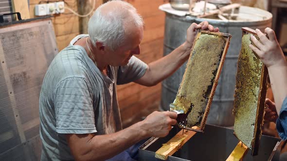 Beekeeper Unseals Honeycomb with a Scraper To Remove Wax and Subtract Honey