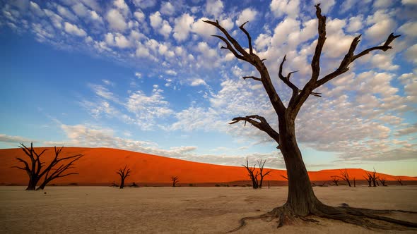 A place like no other, the arid marshlands in Namibia. Deadvlei. Time Lapse of time as the clouds ro