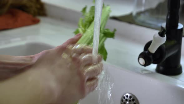 Woman washing celery in sink in kitchen