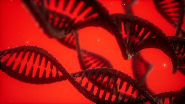 Structure of the DNA Double Helix Animation