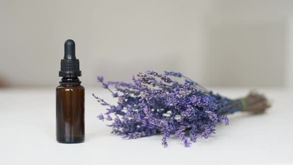 Natural lavender essential oil dripping from pipette into bottle, closeup.