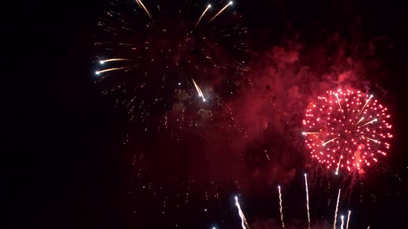 Colorful Firework display at night on sky background