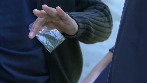 Teenager Selling Marihuana, Payment in Dollars, Drug Addiction Among Youth