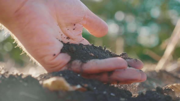 Farmer Working in Field, Hand Holding Pile of Arable Soil. Agriculture, Gardening or Ecology Concept