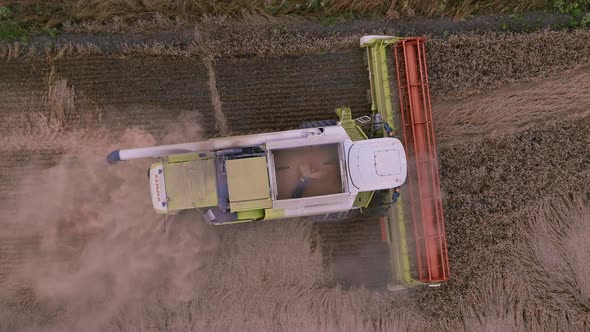 Top View of a Harvester That Harvests in a Grain Field