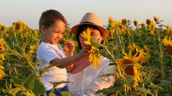 Happy Mother and Her Son in a Field Playing with a Sunflower at Sunset.