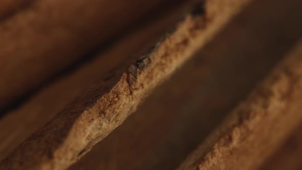 Cinnamon sticks on a dark background