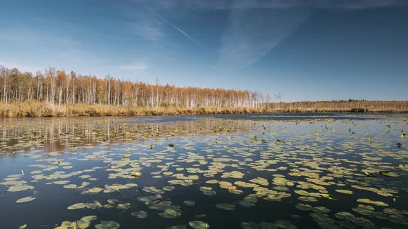 Berezinsky Biosphere Reserve Belarus