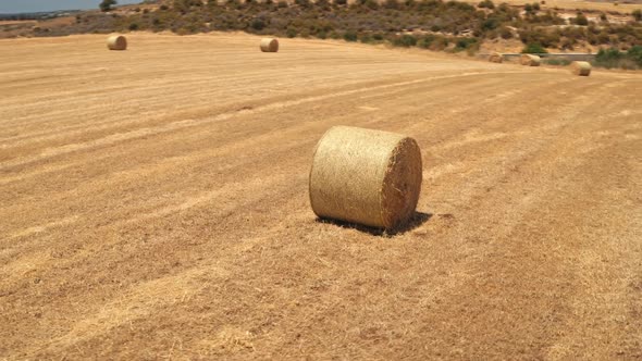 Yellow Round Wheat Haystacks Bales on Meadow Field After Harvest on Farm in Cyprus Countryside