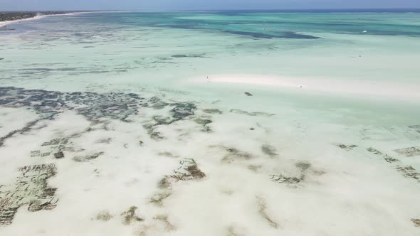 Low Tide in the Ocean Near the Coast of Zanzibar Island Tanzania