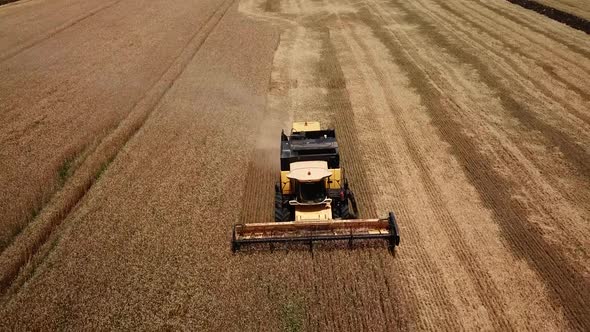 Drone Footage of Golden Fields and Combine Harvester