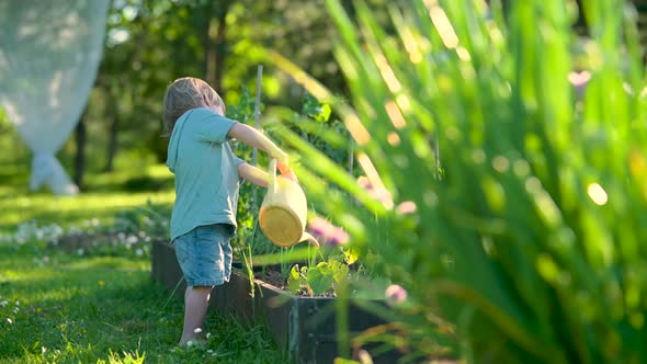 Cute little boy with watering pot outdoors in the garden in bright summer day