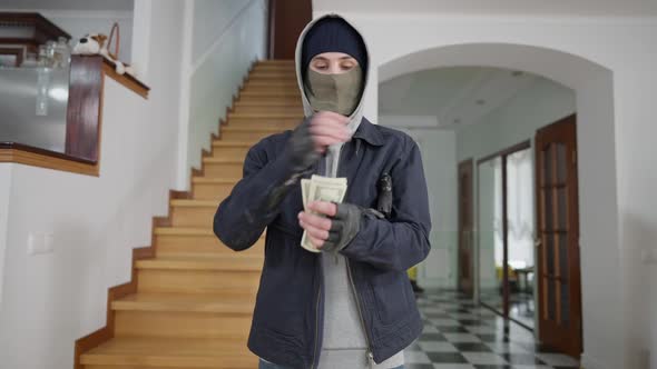 Portrait of Satisfied Robber Putting Gun at Armpit and Counting Dollars