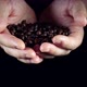 Coffee beans in hands - VideoHive Item for Sale