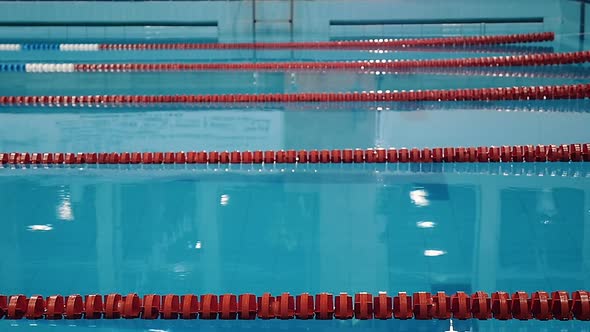 Male Swimmer Jumping in the Swimming Pool