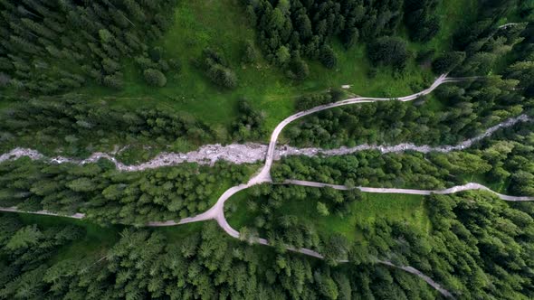 Aerial Drone view of trees from the top on a forest on the Italian Dolomites Alps in Santa Magdalena