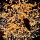 Lentil, star anise, pepper and cumin exploding on black  - VideoHive Item for Sale