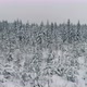 Winter Forest Snowy Spruce and Pine Trees Aerial Drone View - VideoHive Item for Sale