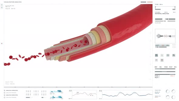 Interface of the modern medical software conducting red blood cell analysis alt