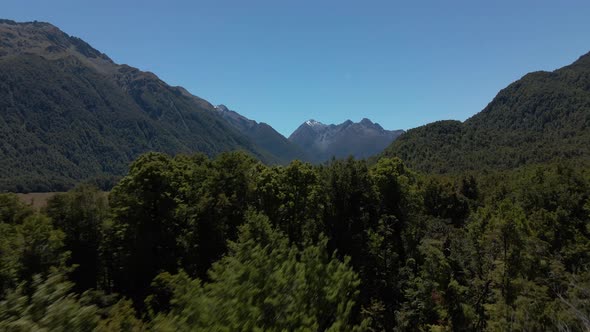 Thick green forest near beautiful green valley with river in Fiordland Southland, New Zealand. Aeria