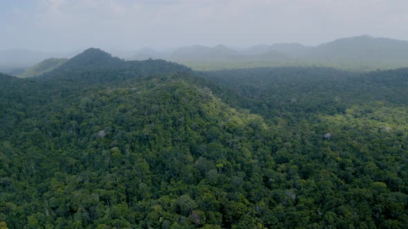 Amazon Jungle Flyover