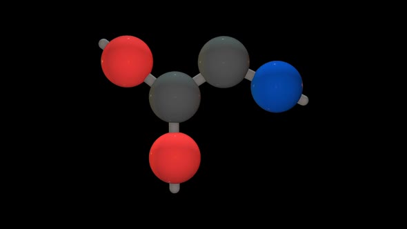 Glycine - Amino acid model