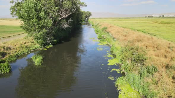 aerial moss river nature