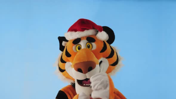 Man in Tiger Costume and Santa's Red Hat Dances on a Blue Winter Background
