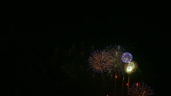 Colorful Firework display at night on sky background