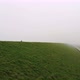 Grassy coast in fog, Yrseke, Zeeland, Netherlands - VideoHive Item for Sale