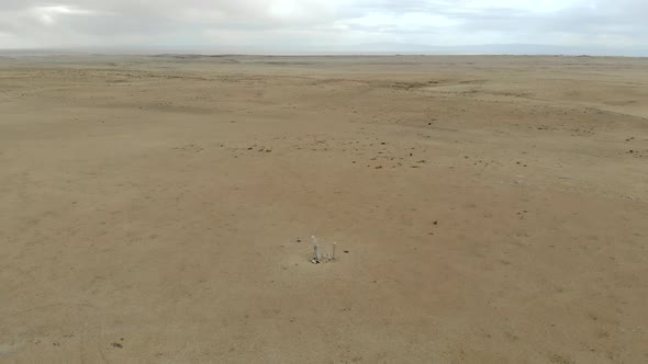 Reindeer Stones Stele in the Desert