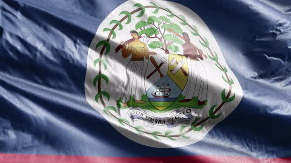 Belize textile flag waving on the wind. 10 seconds loop.