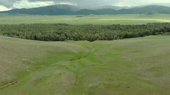 Trees, Forest and Vast Meadow in The Big River in Wide Valley of Asia Geography