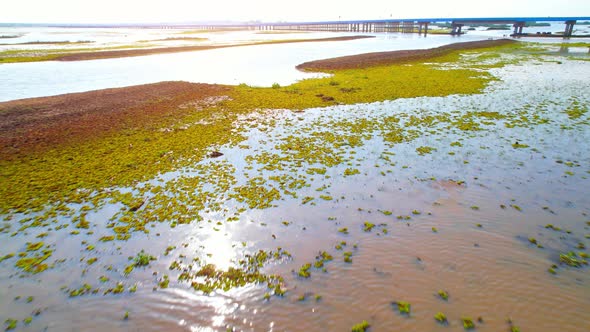 4K Drone Birds Eye View of Thale Noi, a large wetland in Phatthalung, Thailand