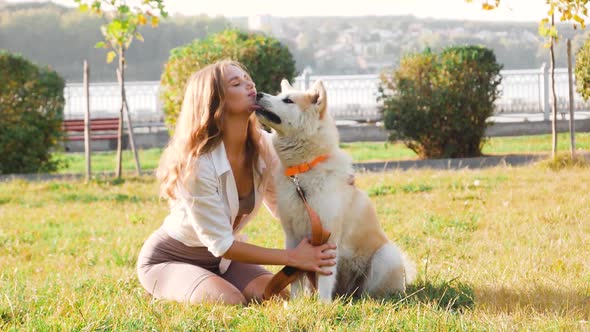 Young woman walking her cute Akita Inu dog in park on sunny day. Lovely pet