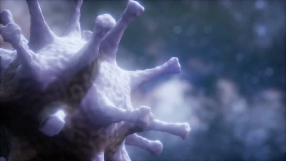 Virtual Representation Macro Model of Novel Coronavirus COVID-2019 alt