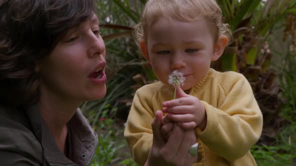 Caucasian woman blowing on flower with baby in garden