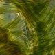 Green Algae of the Cyanobacteria Oscillatoria Under the Microscope, the Family Oscillatoriaceae - VideoHive Item for Sale