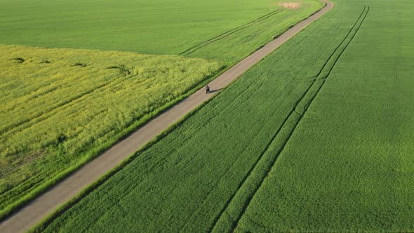 Motorcyclist Rides on Ground Pathway Between Planted Fields