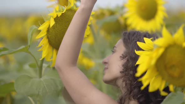 Portrait of Beautiful Curly Girl Dancing with the Big Sunflower and Laughing in the Sunflower Field