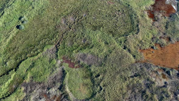 Beautiful flight in summer over salt lakes. Dry lakes. Green grass. Nice aerial flight.