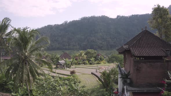 View of Rice Fields and typical Balinese House in Bali Indonesia