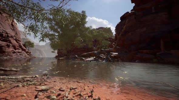 Redwall Reflection in Colorado River