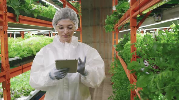 Portrait Of Female Greenhouse Worker At Vertical Farm