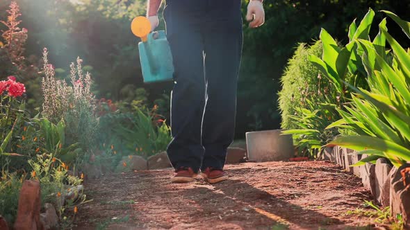 Gardener in overalls holding watering can and walking at garden path.