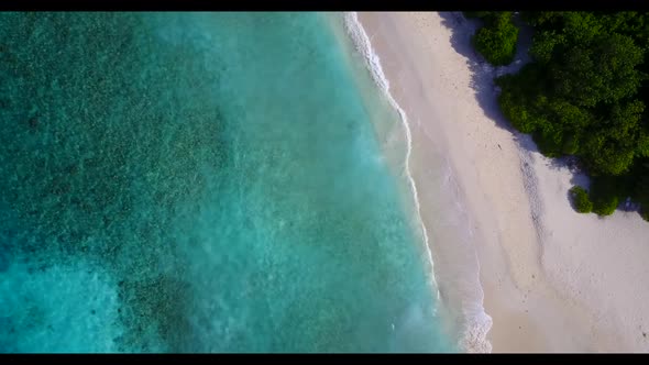 Aerial above nature of idyllic bay beach wildlife by aqua blue sea and white sand background of a da