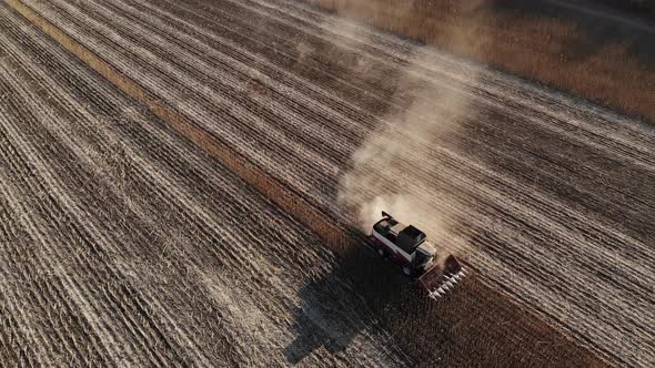 Aerial View of Several Harvesters on a Field of Sunflowers